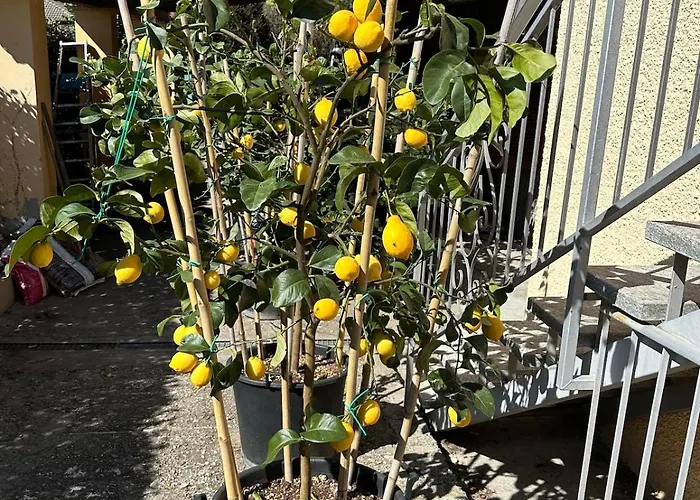 公寓 Luisa Apartment, Maggiore *